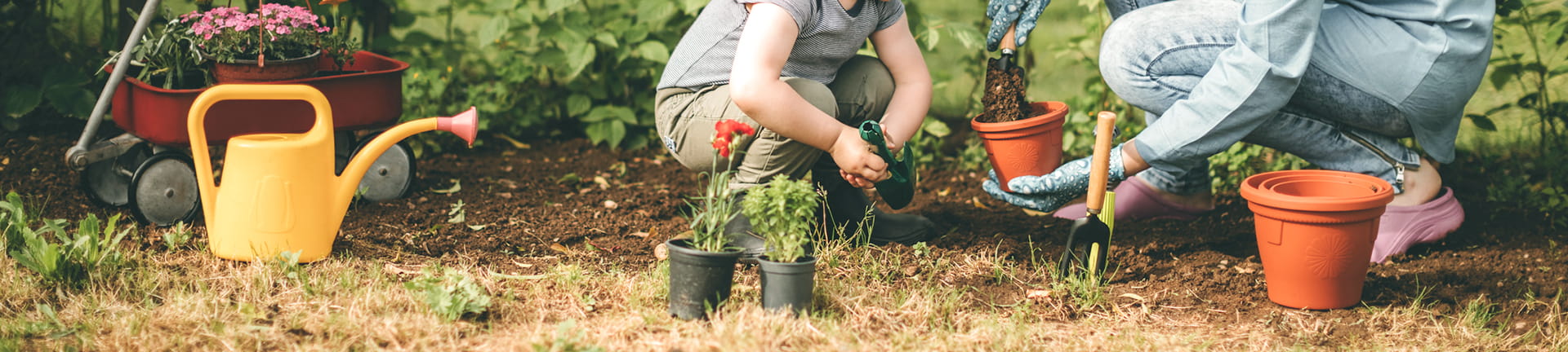 شركة انهوى هينجبو للمواد الجديدة المحدودة